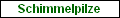 Schimmelpilze